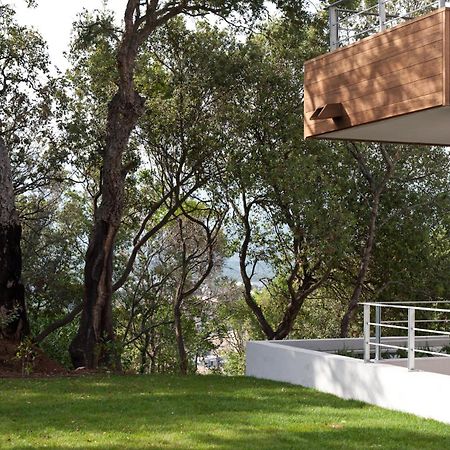 Residence Hoteliere Alcyon Porto-Vecchio  Luaran gambar